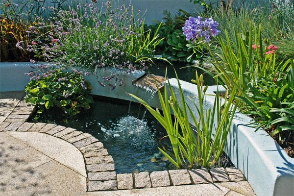 PLAN EDEN: Gallery: Garden designing for a small area