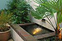 Cistern type water feature and architectural planting transform this small courtyard.
