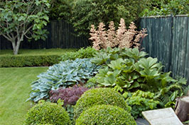 The square box and box balls give a formal atmosphere to this country garden.