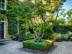 Formal box hedging and tree are the focal point of this Dublin garden design.