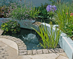 The split level cascade water feature provides sound and movement within this small courtyard.